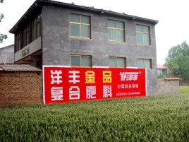 湖口如何让墙体广告展现最大化效果