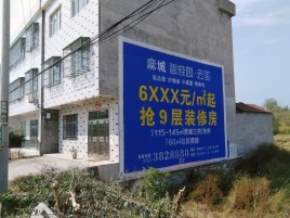 湖口墙体广告质量分析