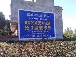 湖口墙体广告的好处